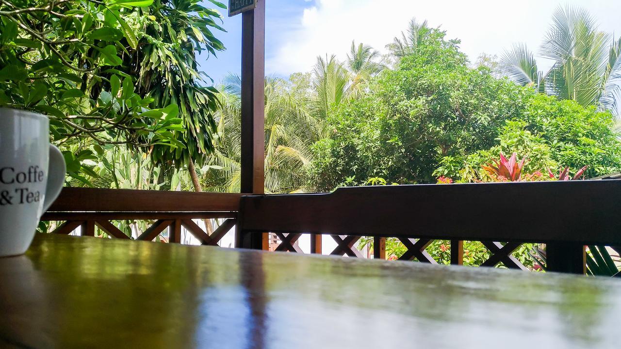 فندق Panorama Backpackers بوناكن المظهر الخارجي الصورة